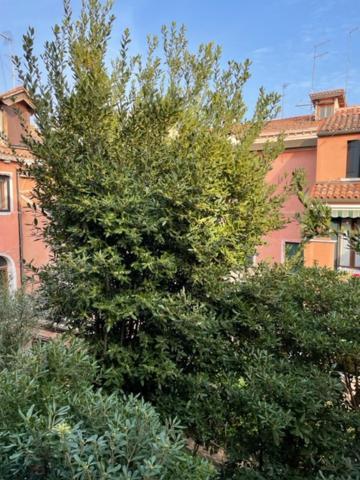 Ca' Della Carita' Apartamento Veneza Exterior foto